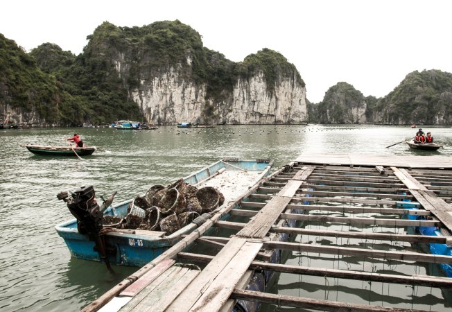 A view inside the life of a floating fishing village.